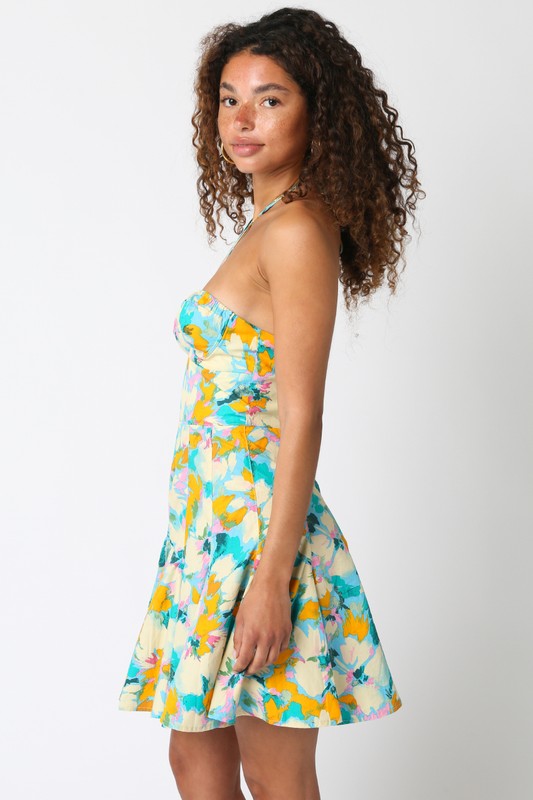 Claudia Halter Dress