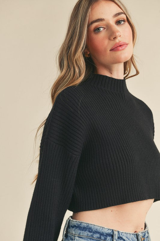Long Sleeve Crop Sweater