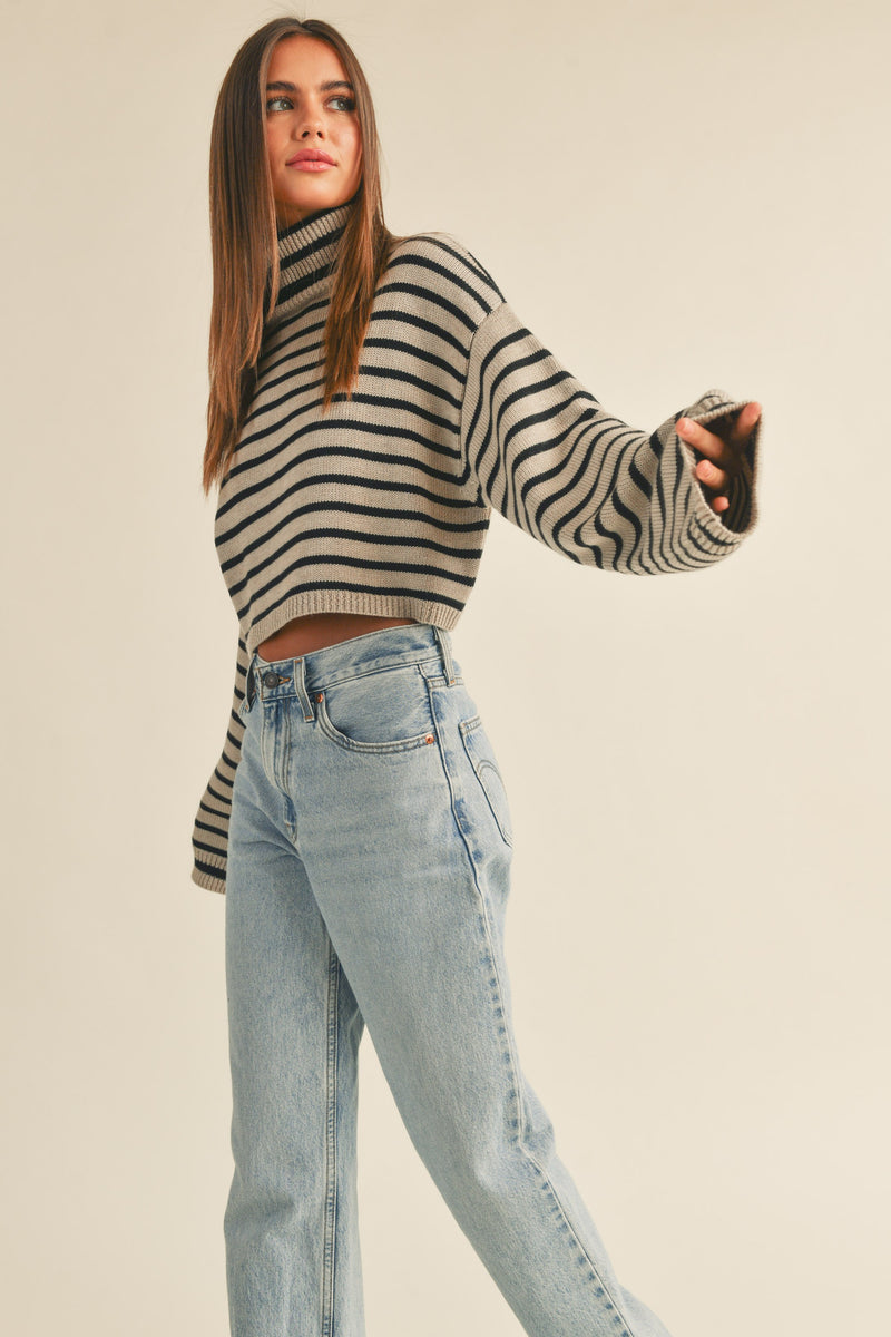 Sarah Striped Turtleneck Crop Sweater