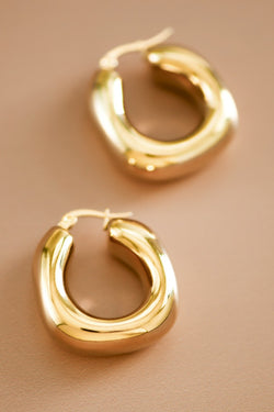 Stainless Hoops
