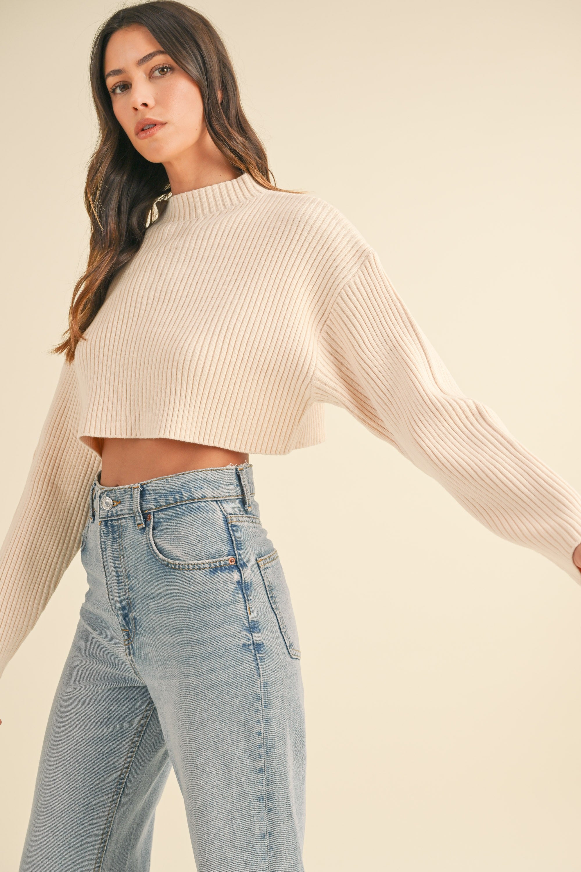 Kimberly Ribbed Crop Sweater
