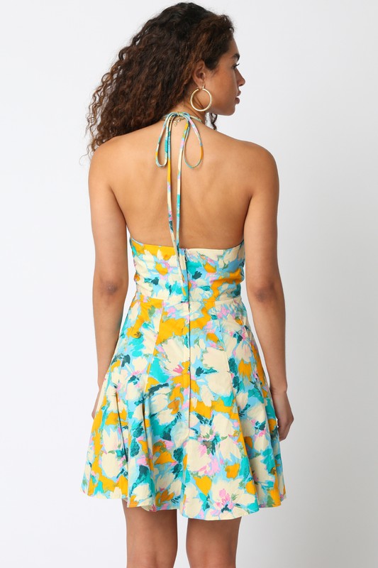 Claudia Halter Dress