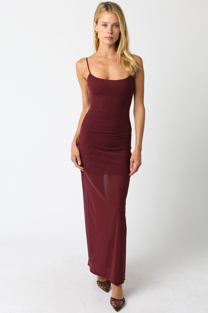 Noelle Mesh Dress