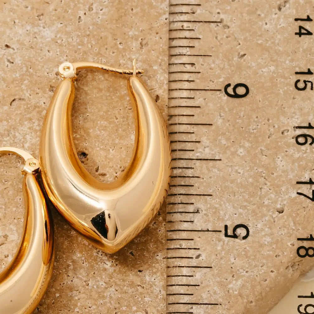 Oval Latch Hoop Earrings