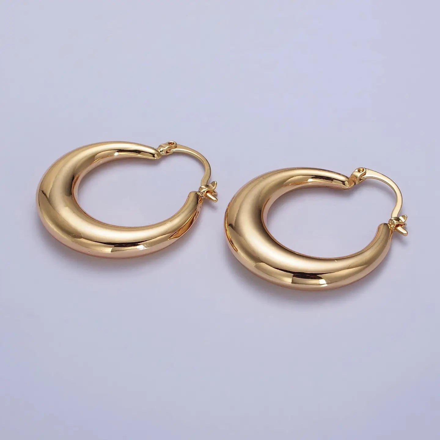 Dome French Lock Earrings